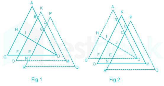 how-many-sides-does-a-40-gon-have-sofia-has-guzman